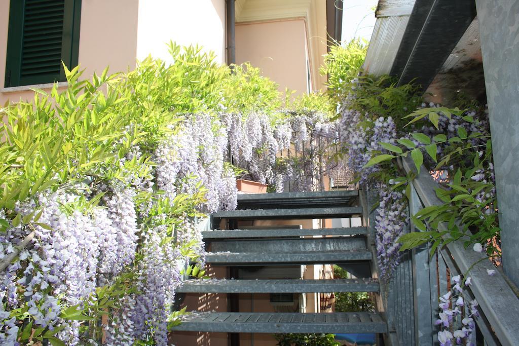 Hotel Villa Grazia Cesenatico Εξωτερικό φωτογραφία